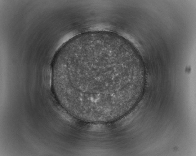 X0000101391219200808041009