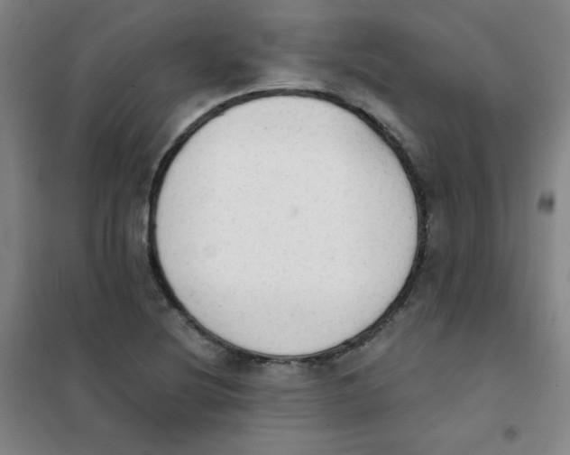 X0000101391220200808041009