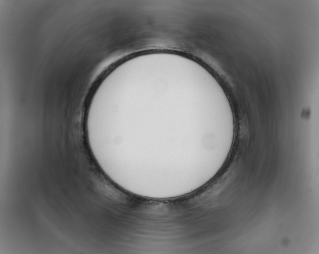 X0000101391222200808041009