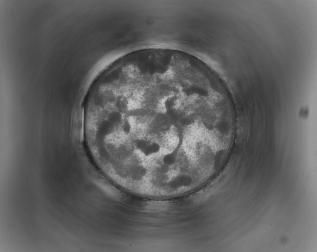 X0000101391223200808041009