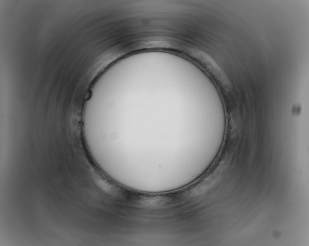 X0000101391225200808041009