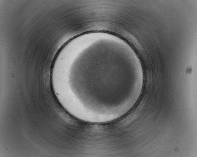 X0000101391226200808041009