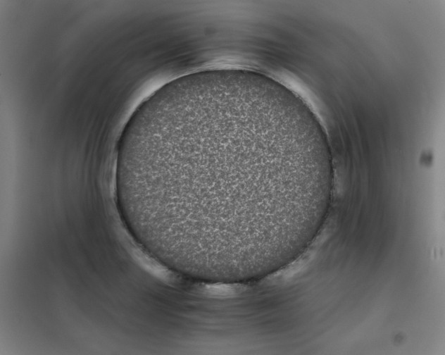 X0000101391227200808041009