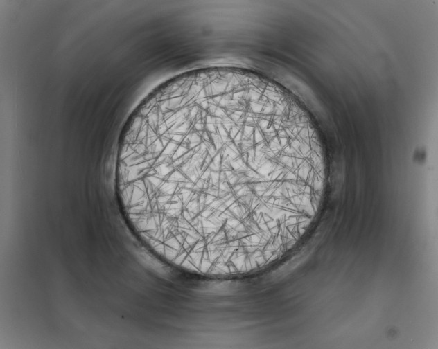 X0000101391228200808041009