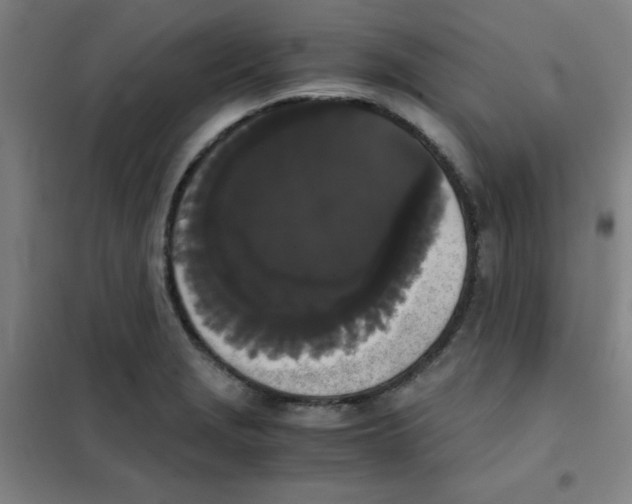 X0000101391229200808041009