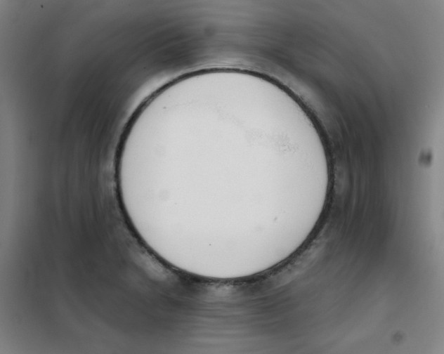 X0000101391230200808041009