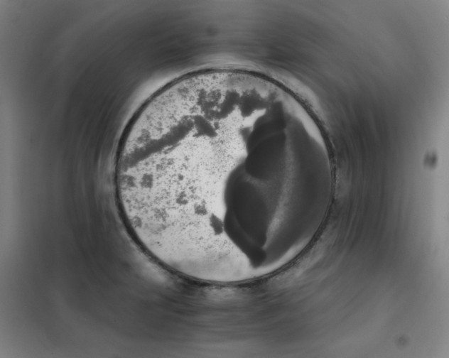 X0000101391231200808041009