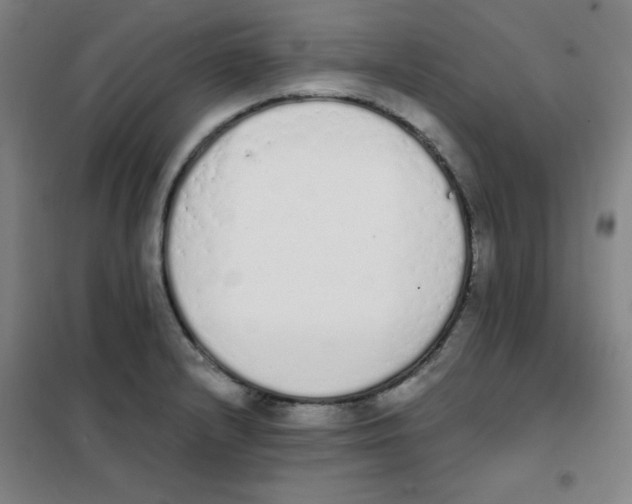 X0000101391232200808041009