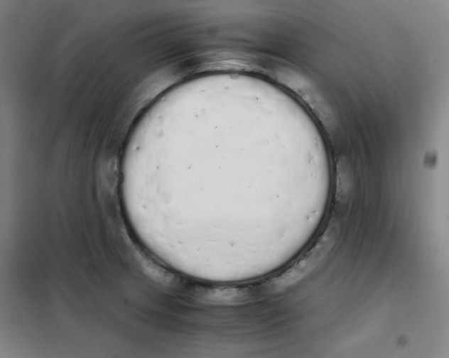 X0000101391233200808041009