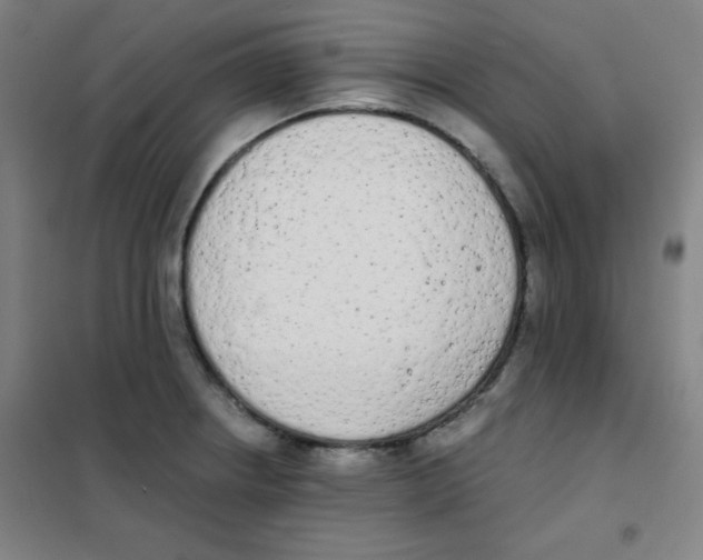 X0000101391234200808041009