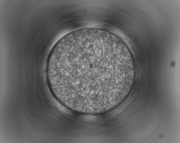 X0000101391235200808041009