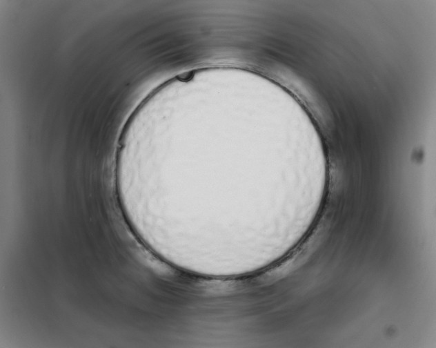 X0000101391236200808041009