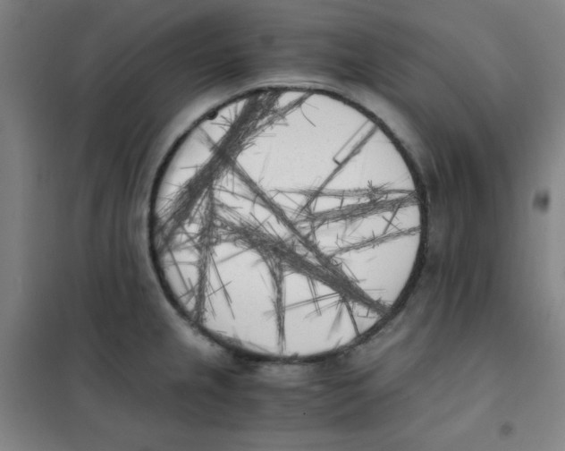 X0000101391237200808041009