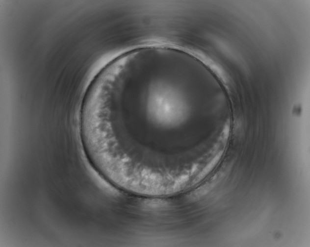 X0000101391239200808041009