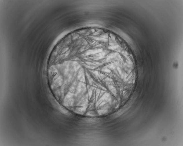 X0000101391240200808041009