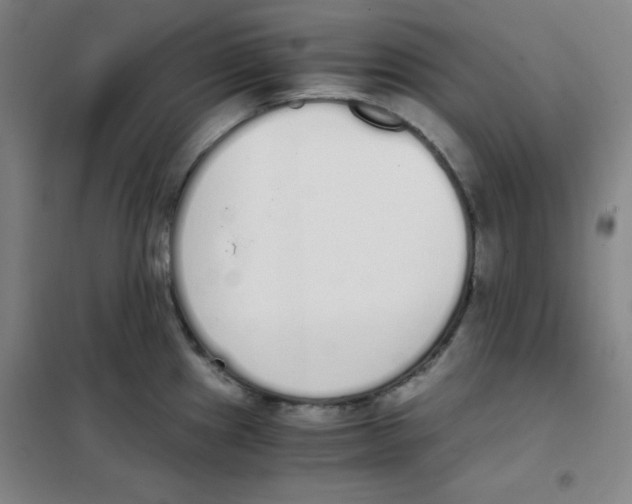 X0000101391241200808041009