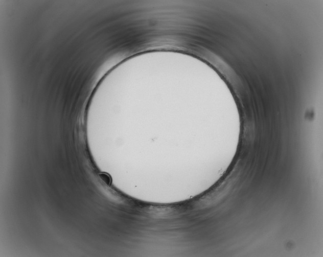 X0000101391242200808041009