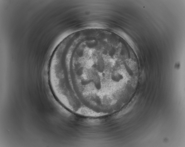 X0000101391243200808041009