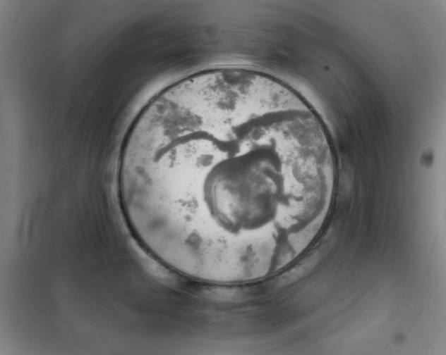 X0000101391245200808041009