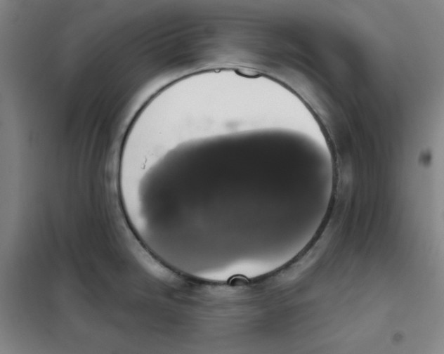 X0000101391246200808041009