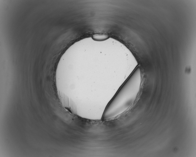 X0000101391249200808041009