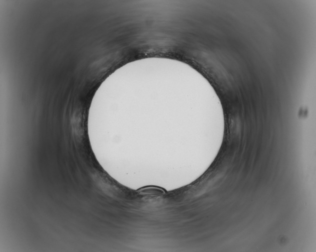 X0000101391250200808041009