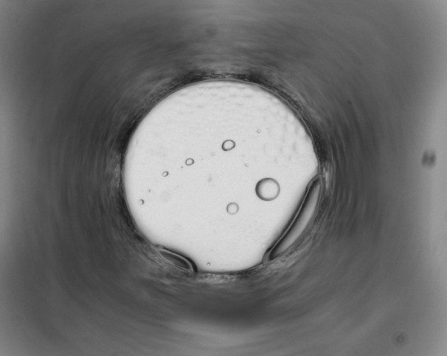 X0000101391251200808041009