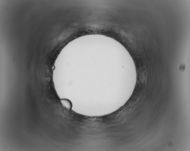 X0000101391253200808041009