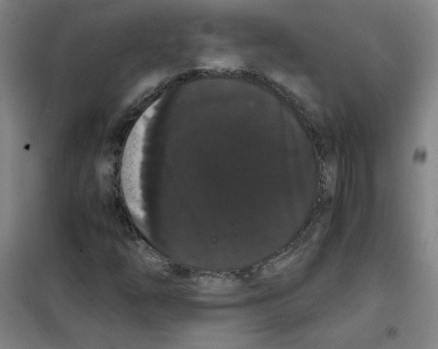X0000101391254200808041009