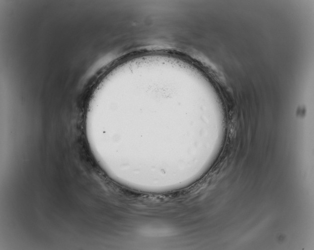 X0000101391255200808041009