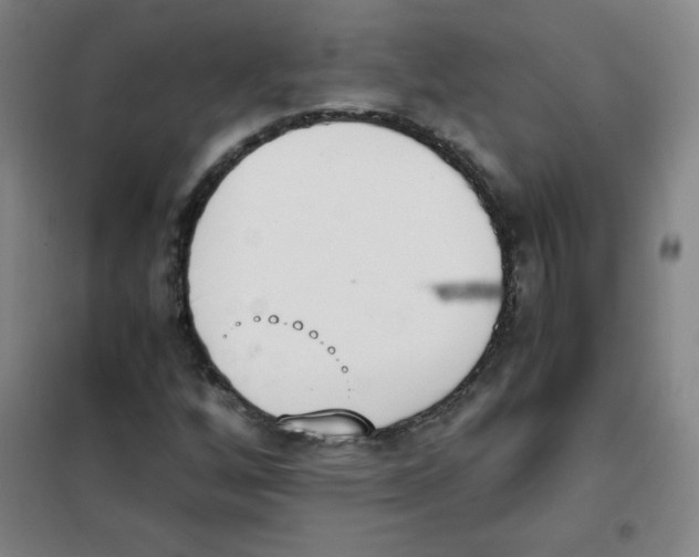 X0000101391256200808041009