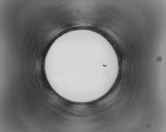 X0000101391257200808041009