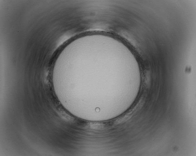 X0000101391258200808041009