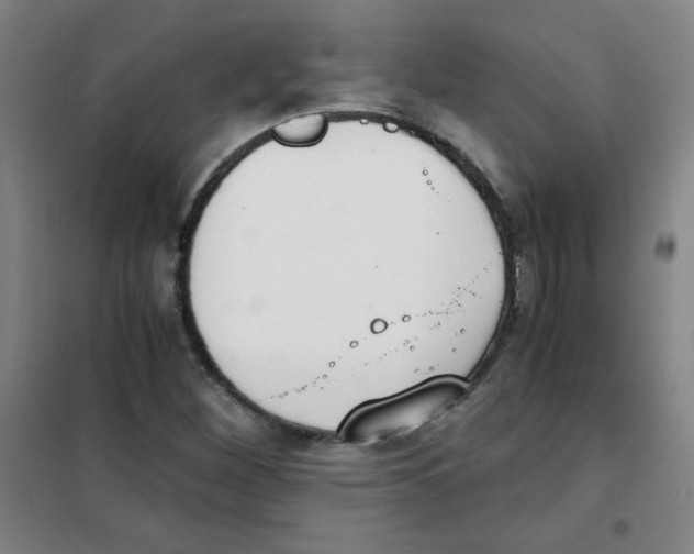 X0000101391260200808041009