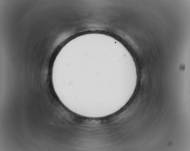 X0000101391261200808041009