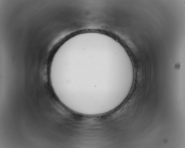 X0000101391262200808041009