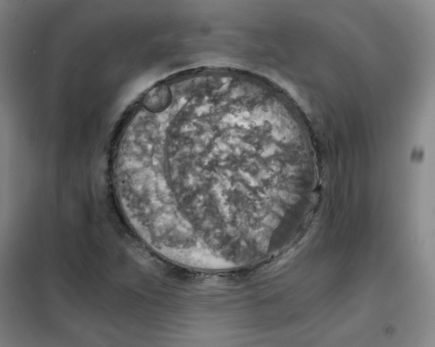 X0000101391263200808041009