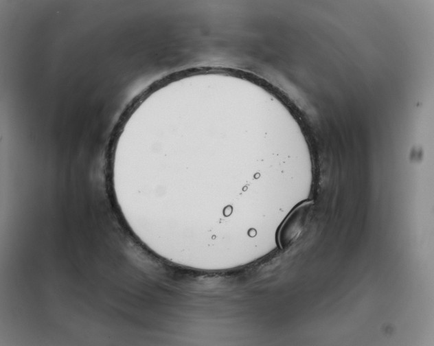 X0000101391264200808041009