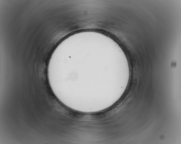 X0000101391265200808041009
