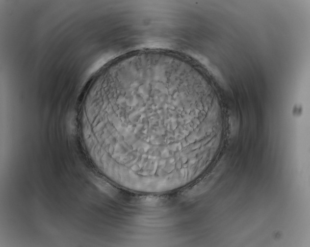X0000101391266200808041009