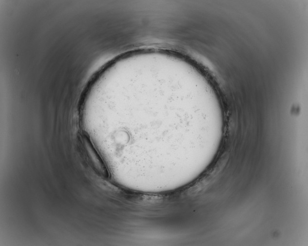 X0000101391267200808041008