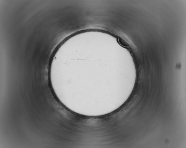 X0000101391268200808041008