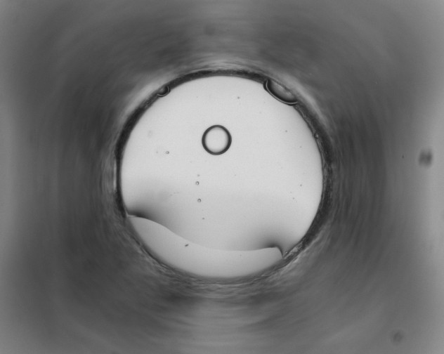 X0000101391269200808041008