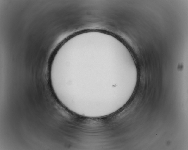 X0000101391270200808041008