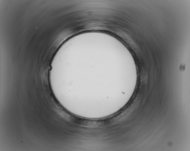 X0000101391273200808041008
