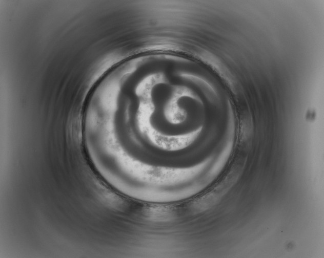 X0000101391274200808041008