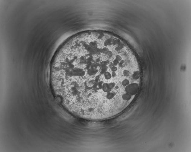 X0000101391275200808041008