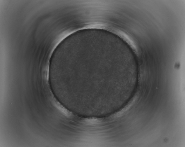X0000101391276200808041008