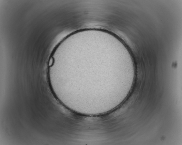 X0000101391277200808041008