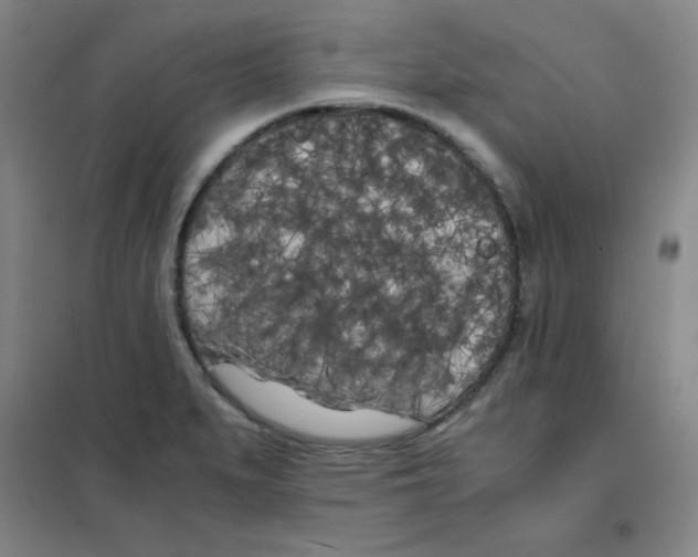 X0000101391279200808041008